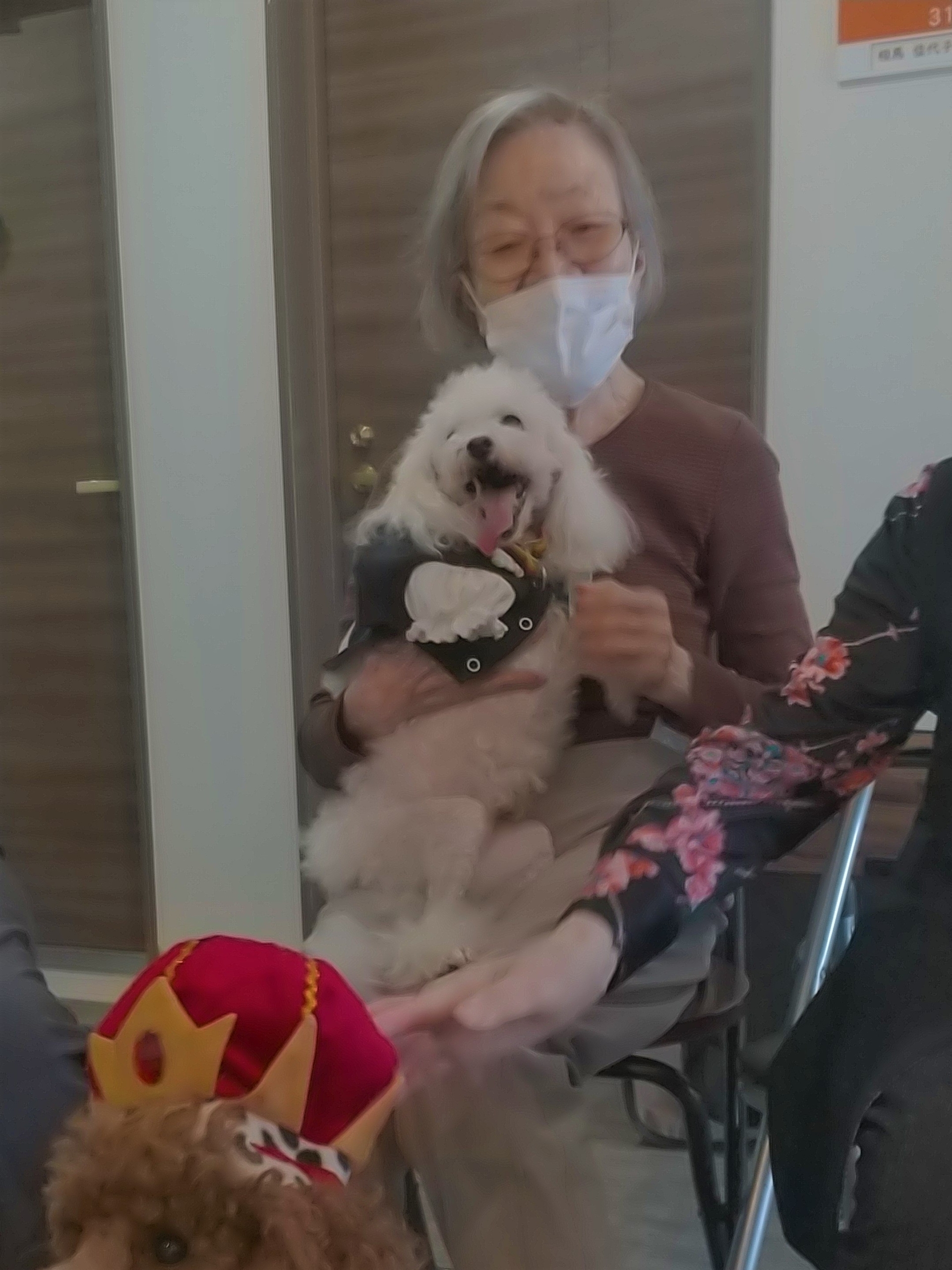 ニチイメゾン鉢塚20251009ドッグセラピー５