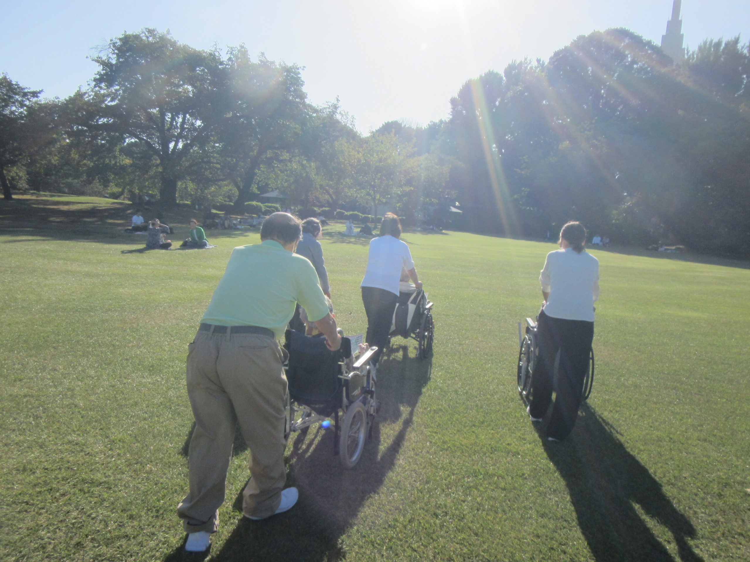 新宿御苑に行きました①-1　ニチイホーム杉並堀ノ内