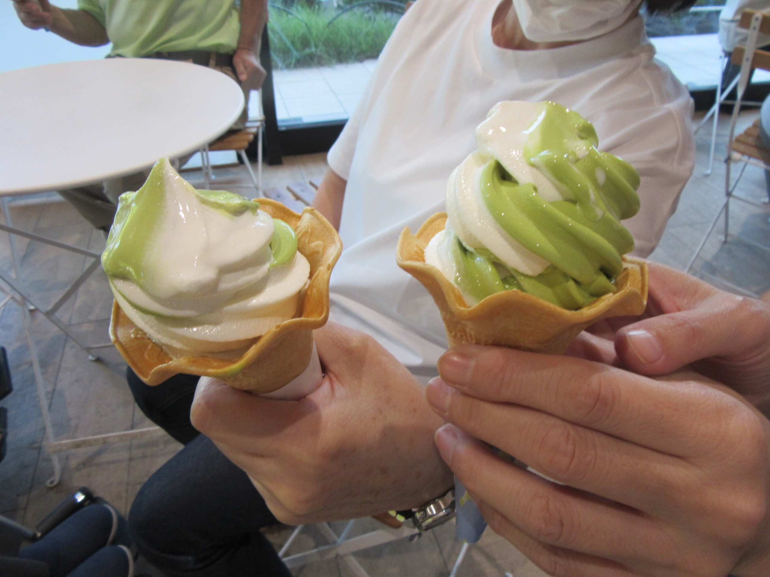 新宿御苑に行きました②-1　ニチイホーム杉並堀ノ内