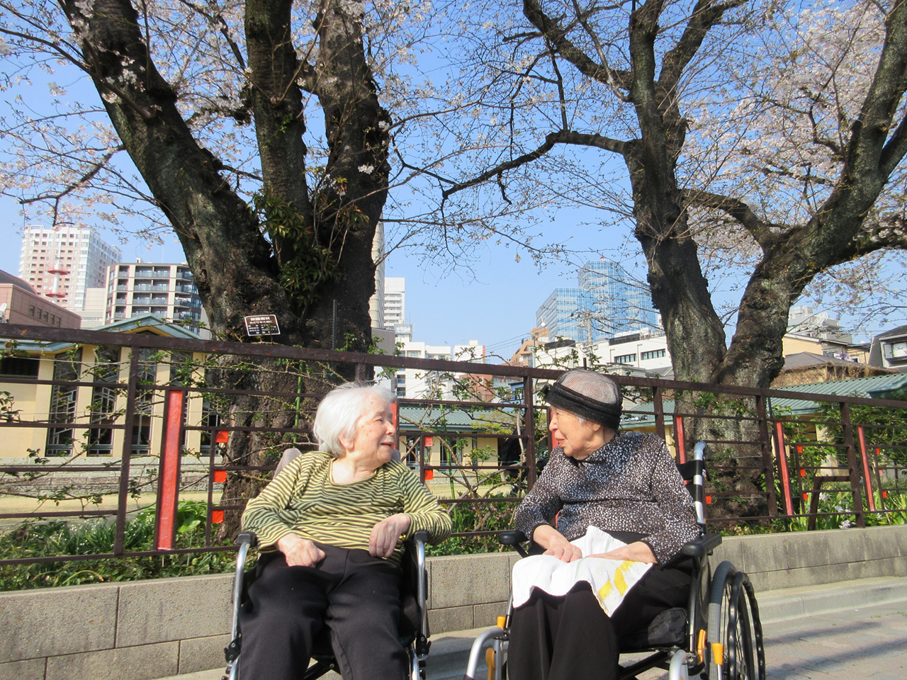 お花見-1 ニチイホーム目白