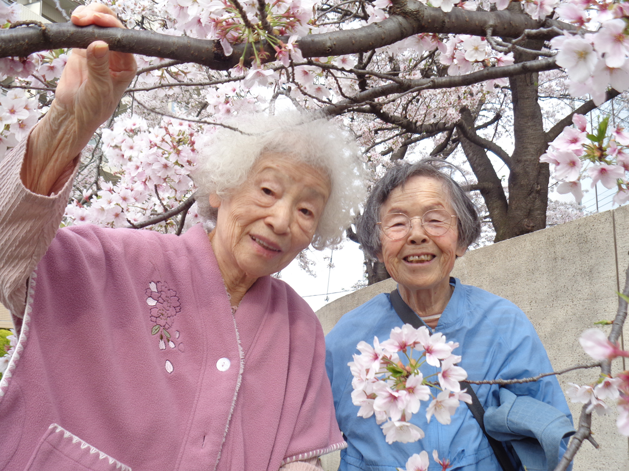 フラワープロジェクト(お花見)-1 ニチイホーム都立家政