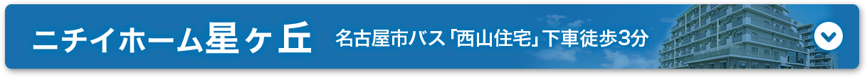 ニチイホーム星ヶ丘